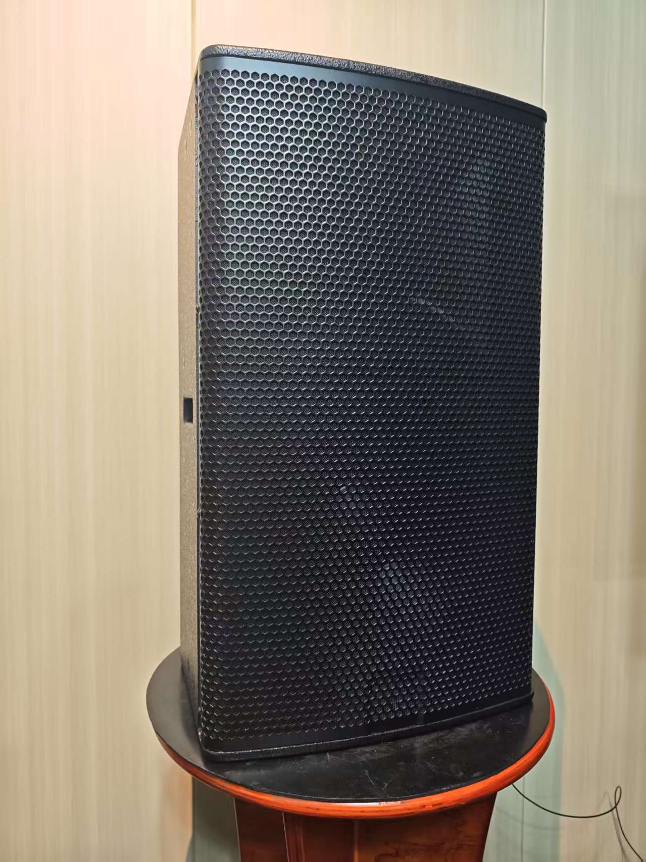 12-inch houten actieve speaker - Outdoor Power Direct recensie en prijs